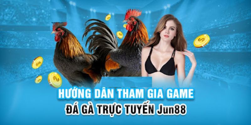 Đá Gà Campuchia - Loại Hình Giải Trí Hấp Dẫn Cho Người Chơi 6 Thao tác theo quy trình để xem đá gà