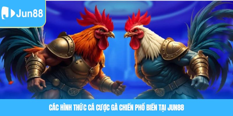 Các hình thức cá cược gà chiến phổ biến tại JUN88