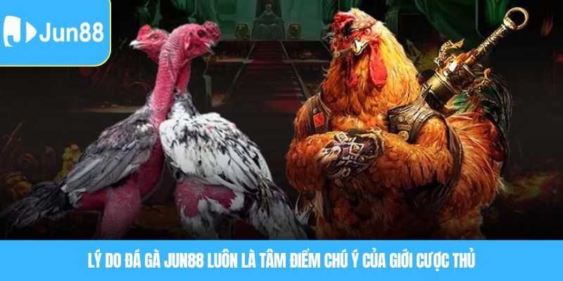 Lý do đá gà JUN88 luôn là tâm điểm chú ý của giới cược thủ